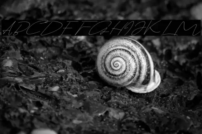 Thrainly Sellier Caratteri examples