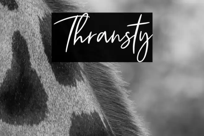 Thransty Font examples