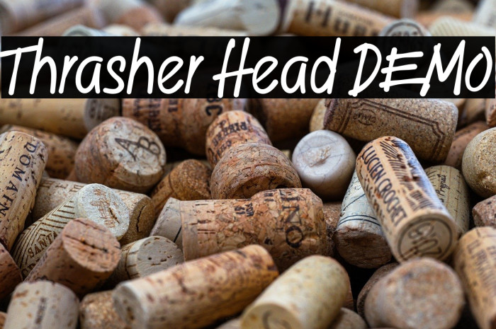 Thrasher Head DEMO Example 1