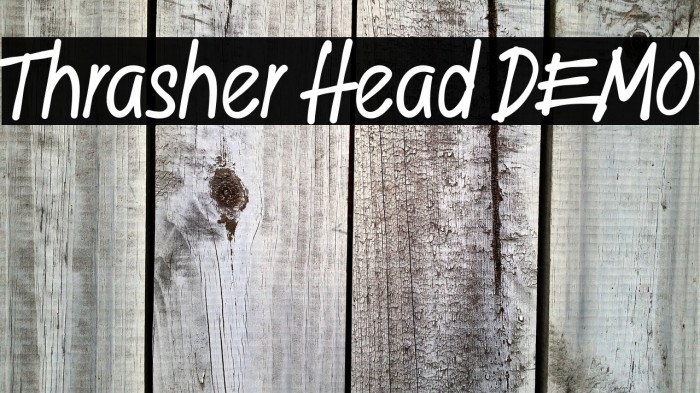 Thrasher Head DEMO Example 3