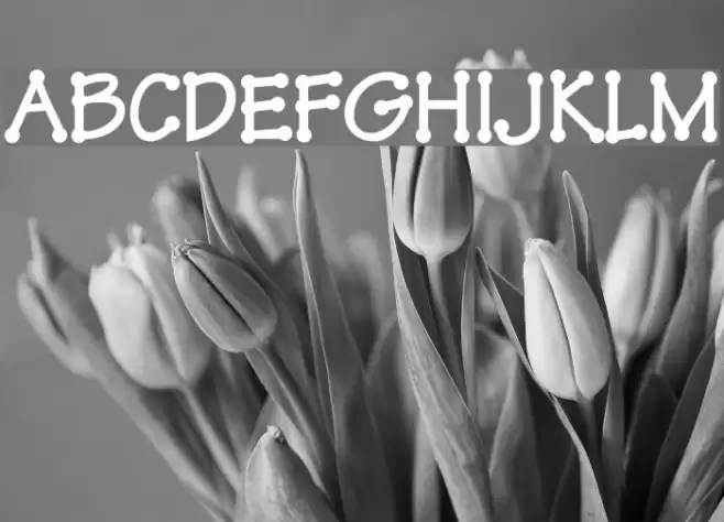 ThreadFun Bold Schriftart examples