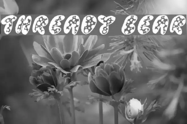 Thready Bear Font examples