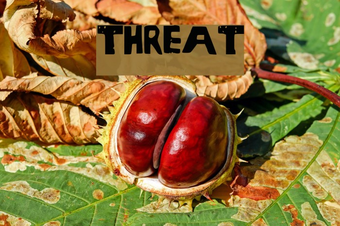 Threat Font examples