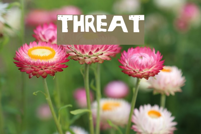 Threat Font examples