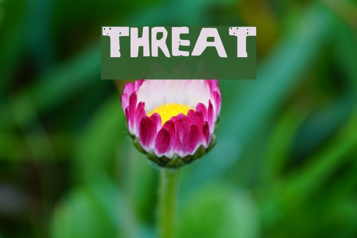 Threat Font examples