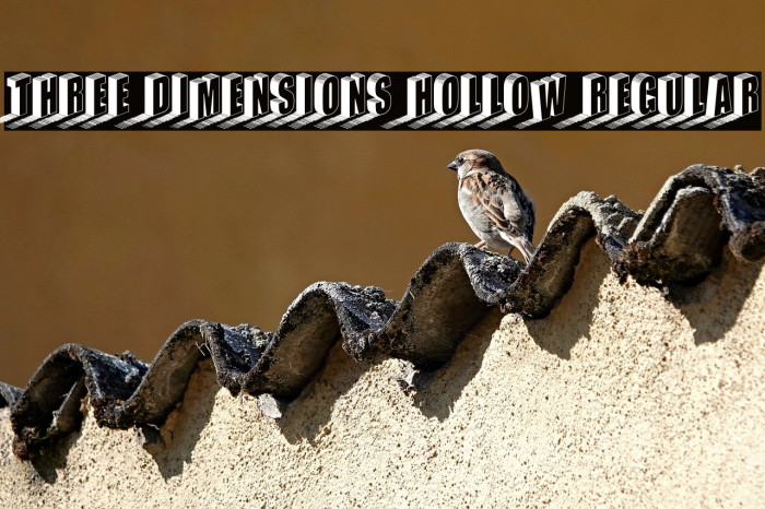 Three Dimensions Hollow Regular Example 1