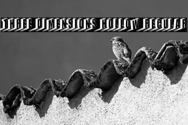 Three Dimensions Hollow Regular Fuentes examples