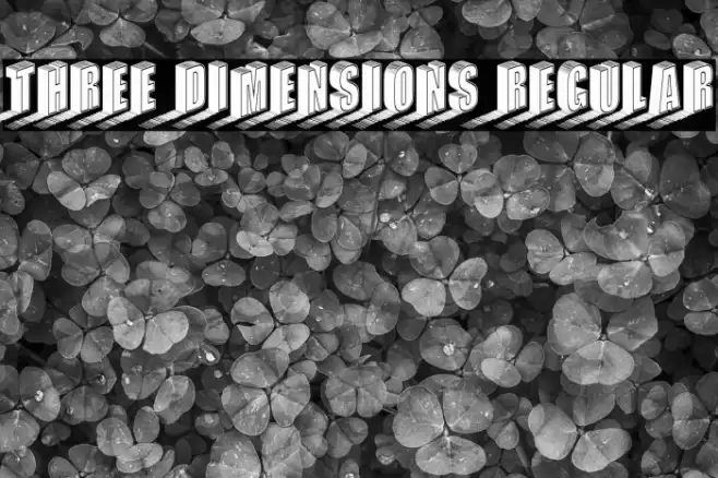 Three Dimensions Regular Font examples
