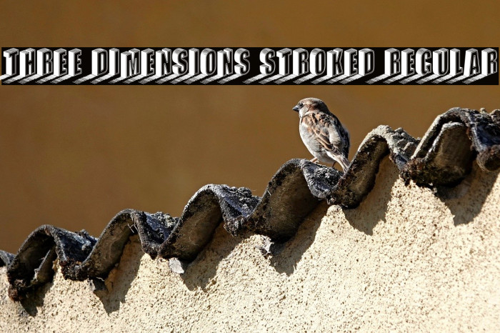 Three Dimensions Stroked Regular Example 2