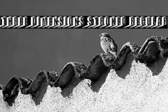 Three Dimensions Stroked Regular Fuentes examples