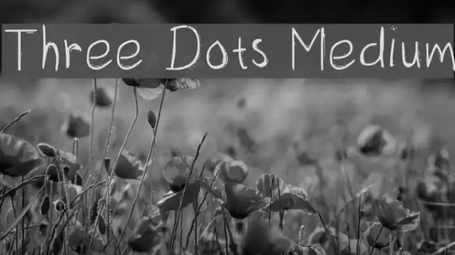 Three Dots Medium Font examples