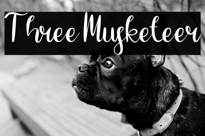 Three Musketeer Example 3