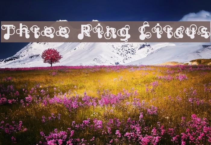 Three Ring Circus Font examples
