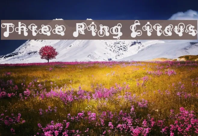 Three Ring Circus Example 2