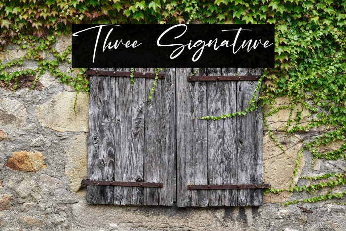 Three Signature Example 2