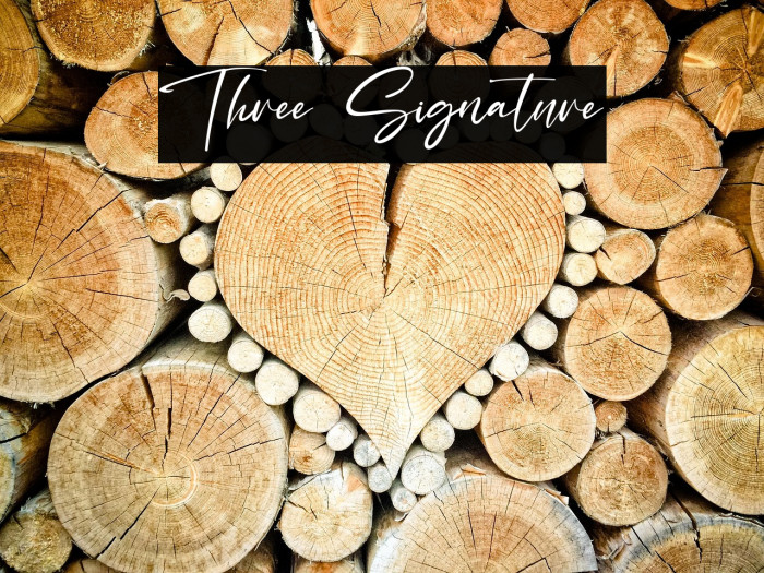 Three Signature Example 3