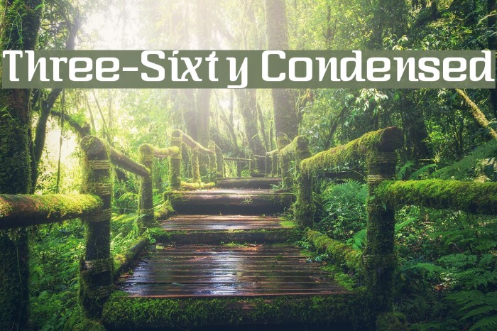 Three-Sixty Condensed Font examples