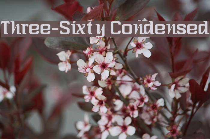 Three-Sixty Condensed Font examples
