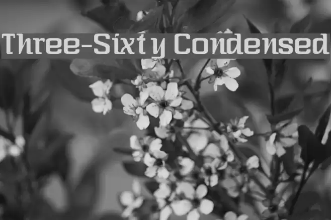Three-Sixty Condensed フォント examples