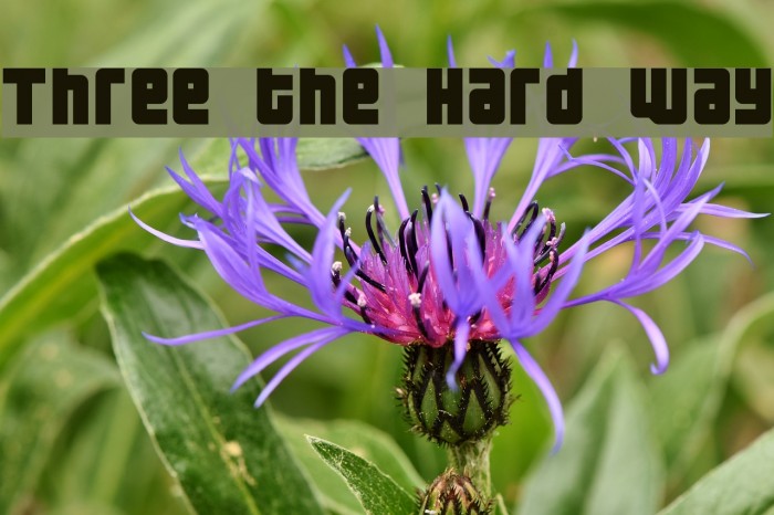 Three the Hard way Font examples
