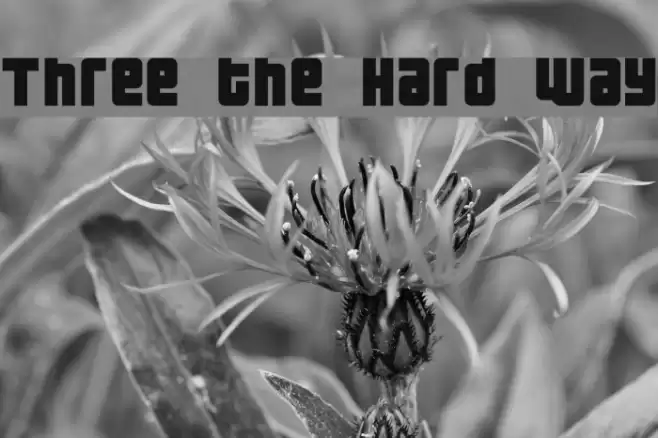 Three the Hard way Schriftart examples