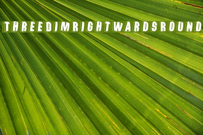 ThreeDimRightwardsRound لخطوط تنزيل examples