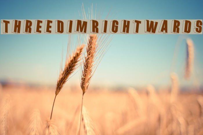 ThreeDimRightwards Font examples