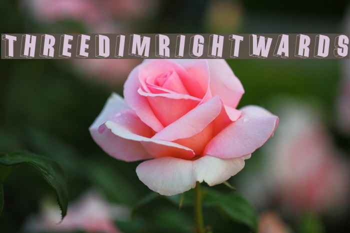 ThreeDimRightwards Font examples