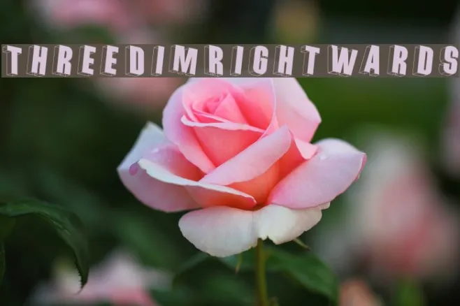 ThreeDimRightwards Example 2
