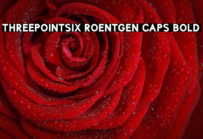 ThreePointSix Roentgen Caps Bold Example 1