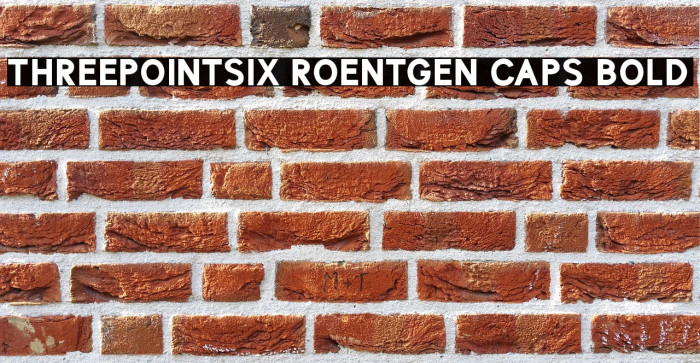 ThreePointSix Roentgen Caps Bold Example 3