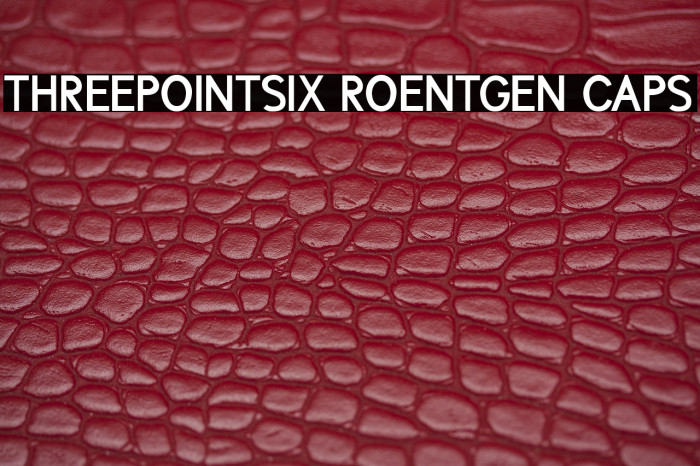 ThreePointSix Roentgen Caps Example 1