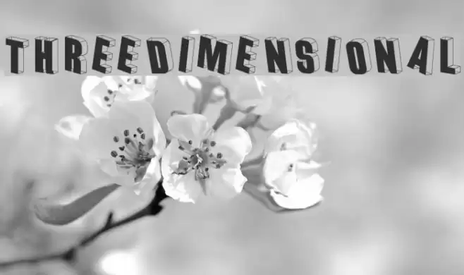 Threedimensional Font examples