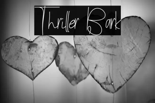 Thriller Bark Caratteri examples