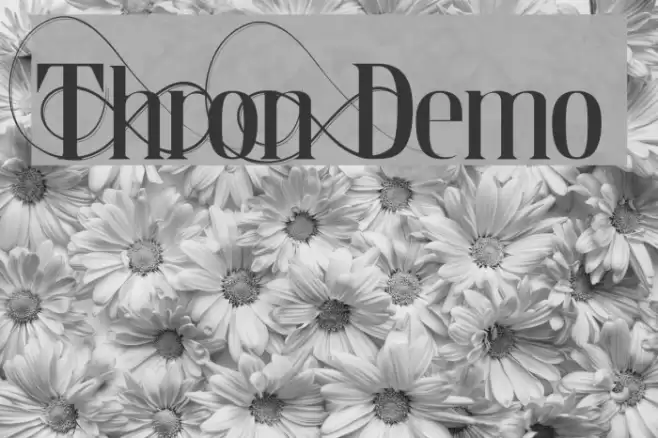 Thron Demo Font examples