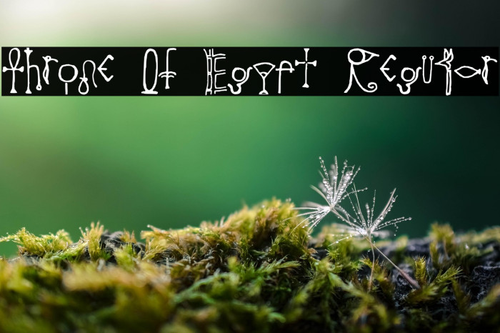 Throne Of Egypt Regular Example 2