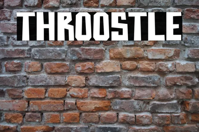 Throostle Example 1