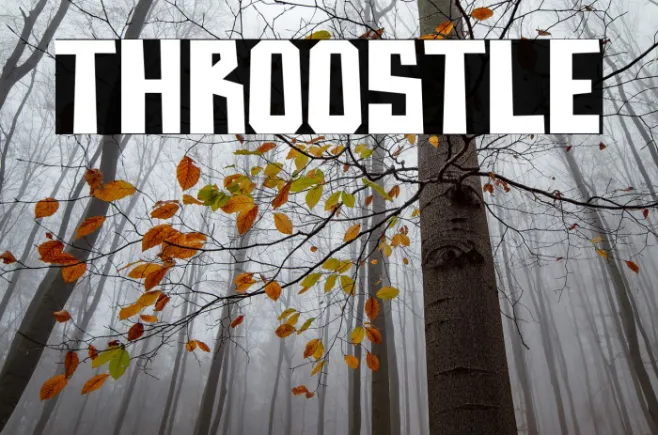 Throostle Example 3