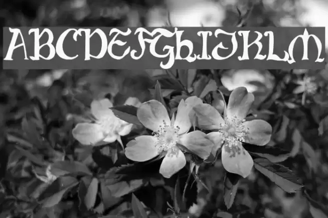 Throrian Commonface Font examples