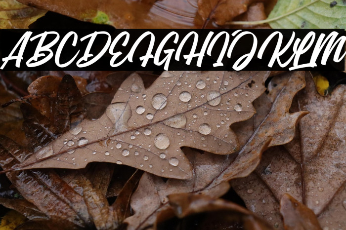 ThrottlesDemo Example 1