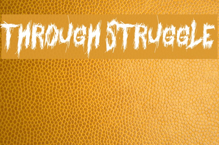 Through Struggle Font examples