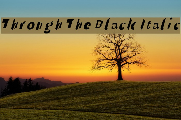 Through The Black Italic Font examples