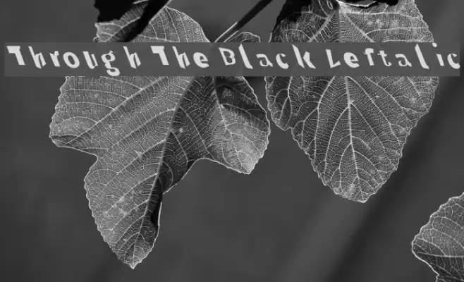 Through The Black Leftalic Шрифта examples