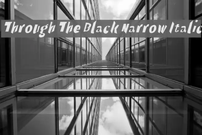 Through The Black Narrow Italic Шрифта examples