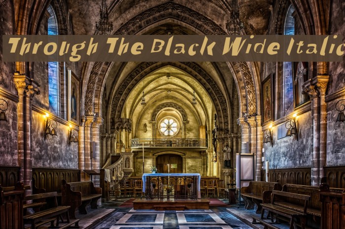 Through The Black Wide Italic Font examples