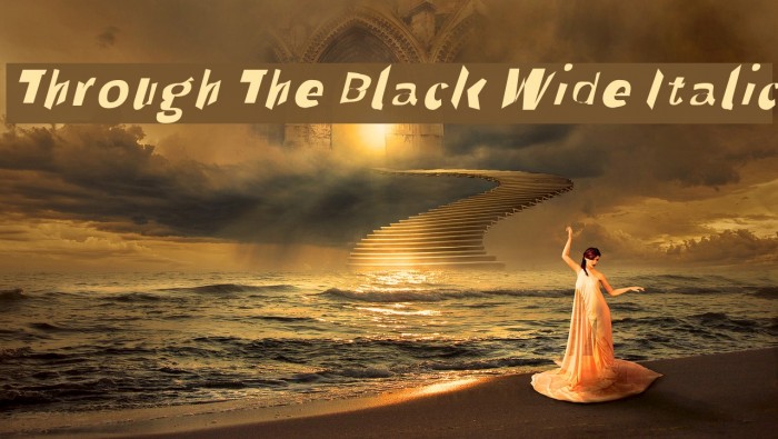 Through The Black Wide Italic Font examples
