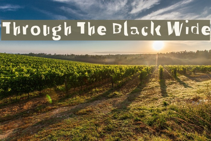 Through The Black Wide Font examples