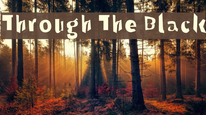 Through The Black Font examples
