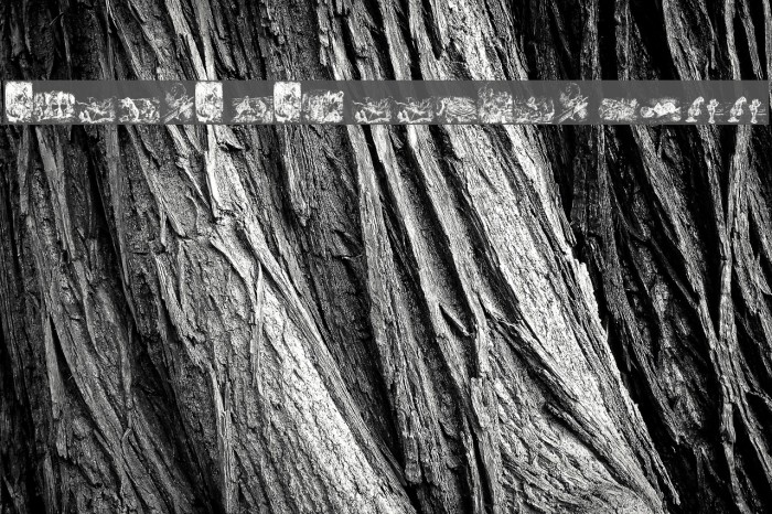 Through the Looking Glass1 Font examples