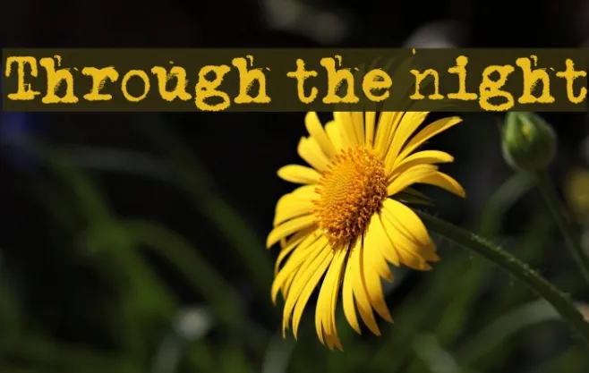 Through the night Example 2